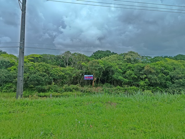Maravilhosa área para investimento, á 200 metros do mar. - Vendas | Terrenos | Matinhos-PR Maravilhosa área para investimento, á 200 metros do mar. - Vendas | Terrenos | Matinhos-PR
